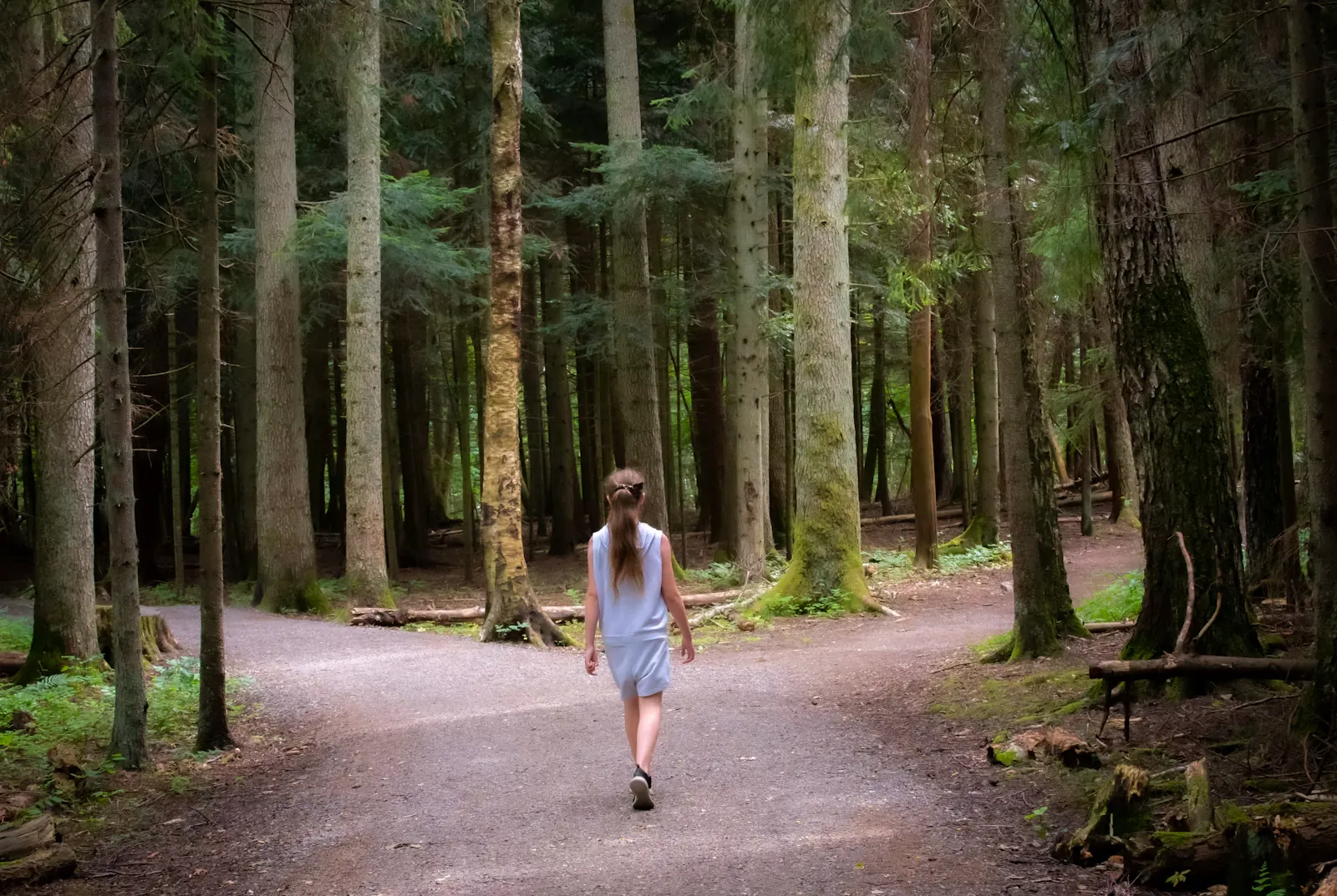 Mujer caminando por un sendero entre árboles