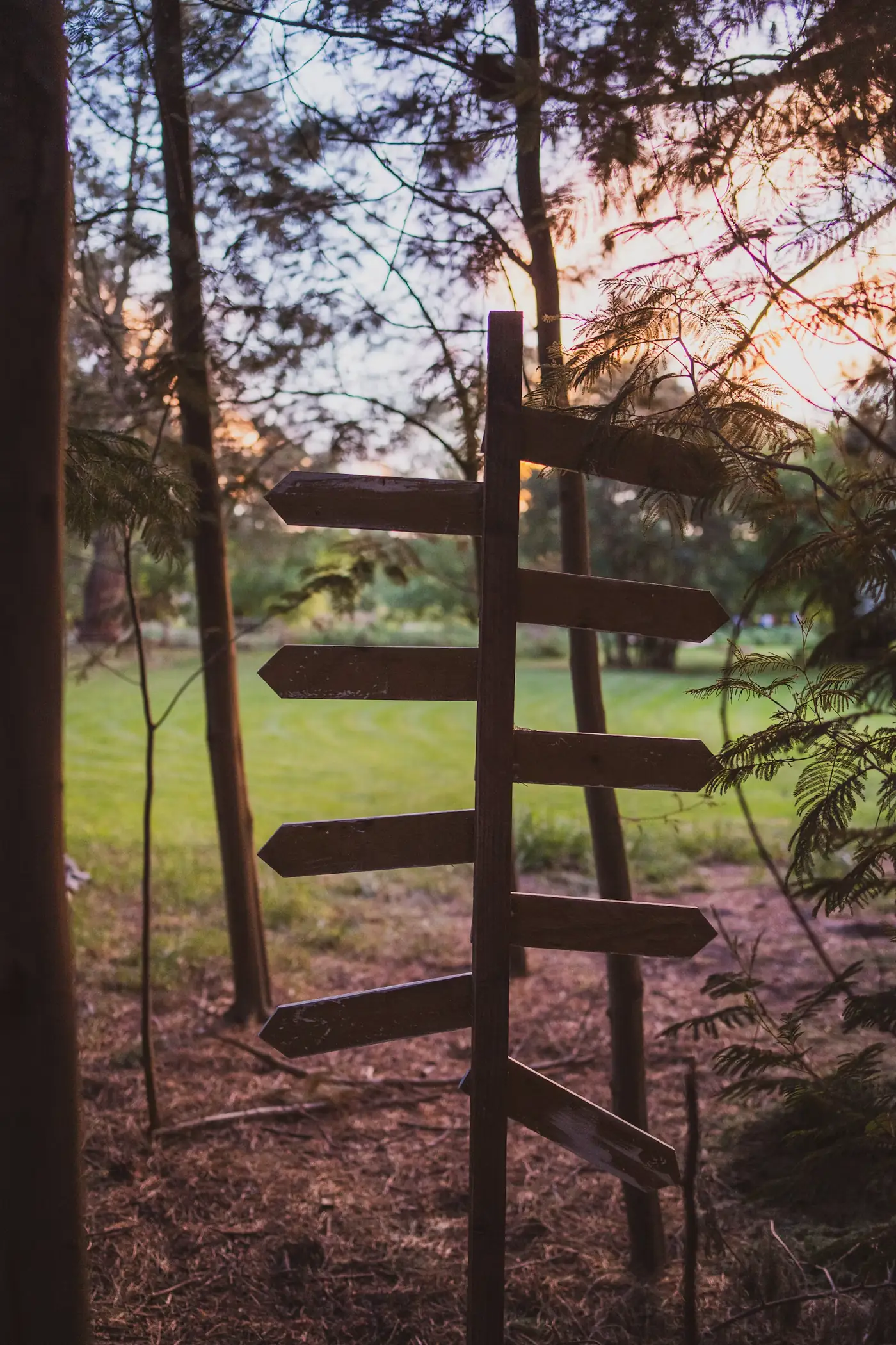 Poste de señalización de madera con varias flechas en el bosque