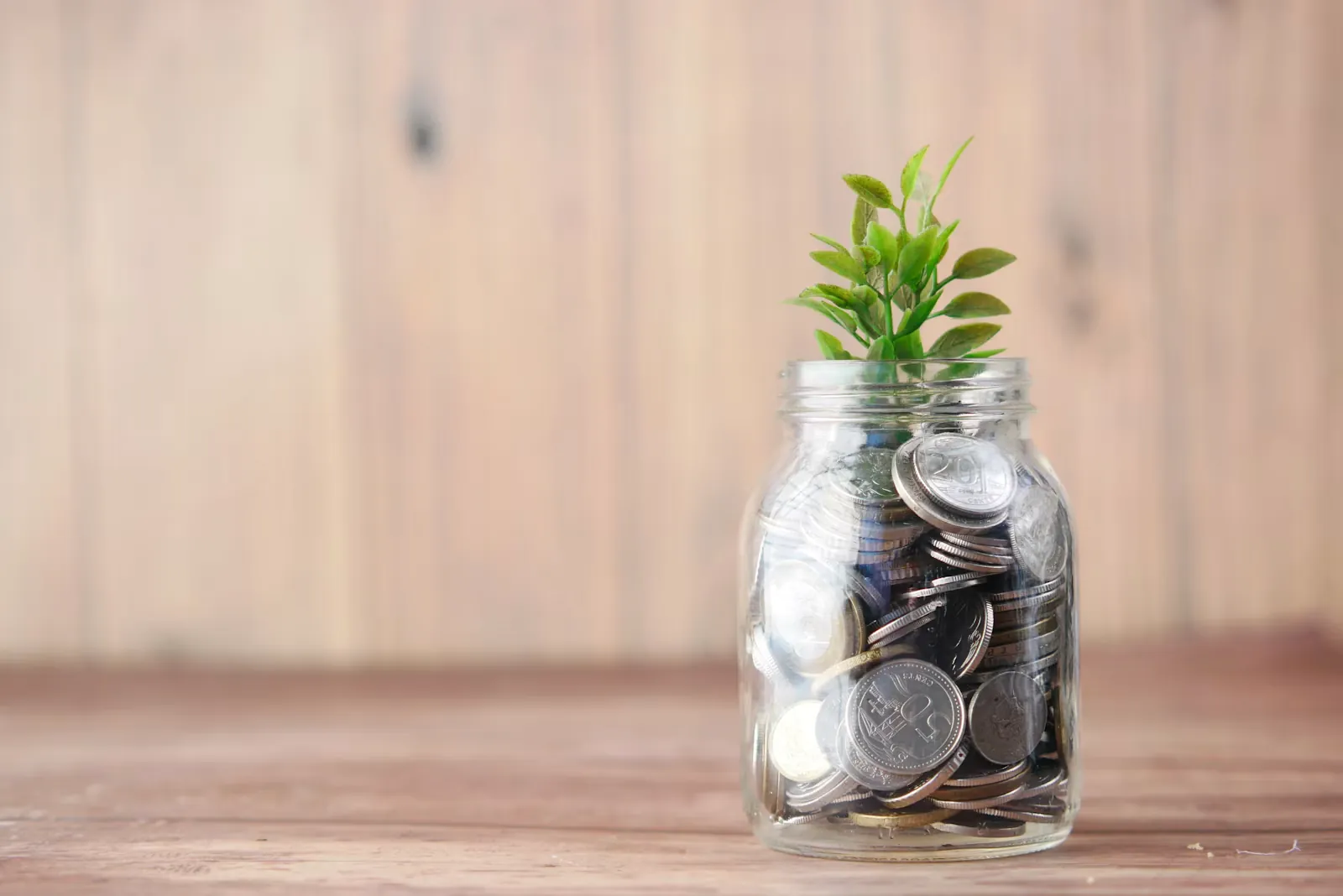 Frasco de vidrio lleno de monedas junto a una planta